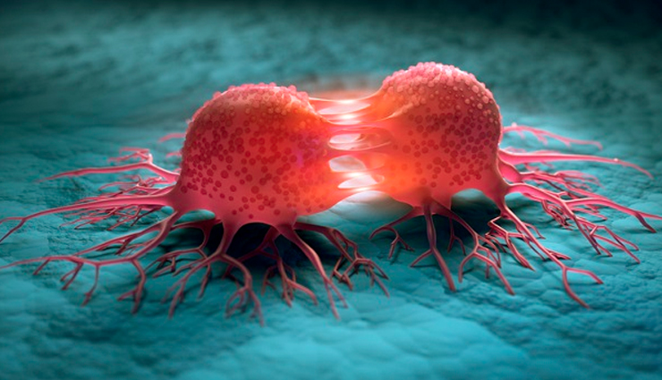 ashwagandha tea,health benefits of ashwagandha tea,healthy food ashwagandha tea,ashwagandha benefits,ashwagandha health benefits,Health,Health tips