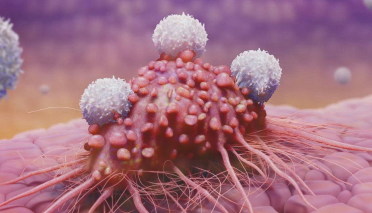 dry fruits,dry fruits for good health,benefits of dry fruits,dry fruits boost immunity,dry fruits to lose weight,dry fruits for skin,dry fruits for cancer,Health,Health tips