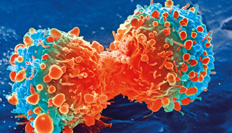 dark chocolate,health benefits of eating dark chocolate,dark chocolate health benefits,health benefits of dark chocolate,chocolate health benefits,Health,Health tips