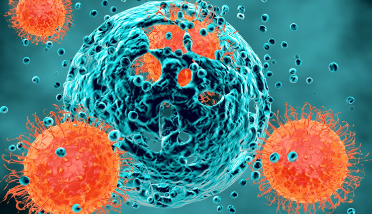 mangoes,health benefits of mangoes,summer food mango,mango healthy food,mango health benefits,health benefit of eating mango,Health,Health tips,online buy mangoes