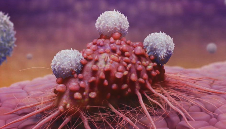 Almonds,almonds health benefits,healthy food almonds,almonds good for health,health tips almonds,almonds good for health,Health tips,healthy living