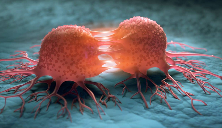 potato,health benefits of eating potato,potato health benefits,healthy food potato,potato for good health,Health,Health tips