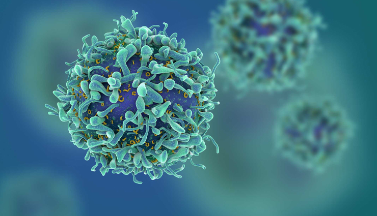 health benefit for red wine,Health tips,healthy living,health news,health news in hindi