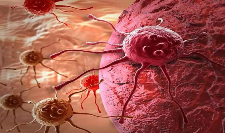 enoki mushroom health benefits,nutritional value of enoki mushrooms,enoki mushrooms for immune support,enoki mushrooms for heart health,enoki mushrooms for digestive health,enoki mushrooms for weight loss,enoki mushrooms for cancer prevention,enoki mushrooms for bone health,adding enoki mushrooms to your diet,enoki mushrooms as a superfood