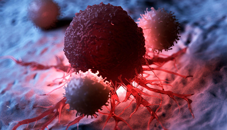 barberry fruit benefits for health,medicinal benefits of barberry fruit,nutritional benefits of barberry fruit,surprising benefits of barberry fruit for health,barberry fruit for immune system,barberry fruit for digestion,barberry fruit for respiratory health,barberry fruit for skin and hair,barberry fruit for weight loss,barberry fruit for diabetes,barberry fruit for cholesterol,barberry fruit for arthritis,barberry fruit for inflammation,barberry fruit for cancer prevention,barberry fruit for liver health,barberry fruit for heart health,barberry fruit for brain function,barberry fruit for reproductive health,barberry fruit antioxidant benefits,barberry fruit anti-aging benefits