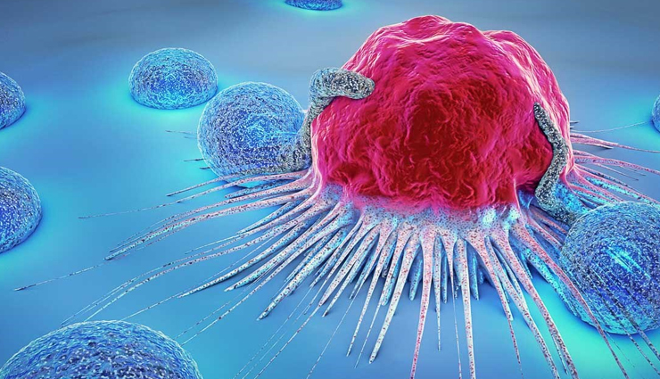 banana flower health benefits,nutritional benefits of banana flower,banana flower recipes for health,banana flower extract benefits,banana flower medicinal uses,health benefits of eating banana flower,banana blossom benefits for wellness,banana flower health facts,banana flower benefits for weight loss,banana flower tea benefits,banana flower benefits for digestion,banana flower benefits for diabetes,banana flower benefits for heart health,banana flower benefits for women health,banana flower health properties,banana flower benefits for skin,banana flower benefits for hair,banana flower nutrients,how to use banana flower for health,banana flower health supplement