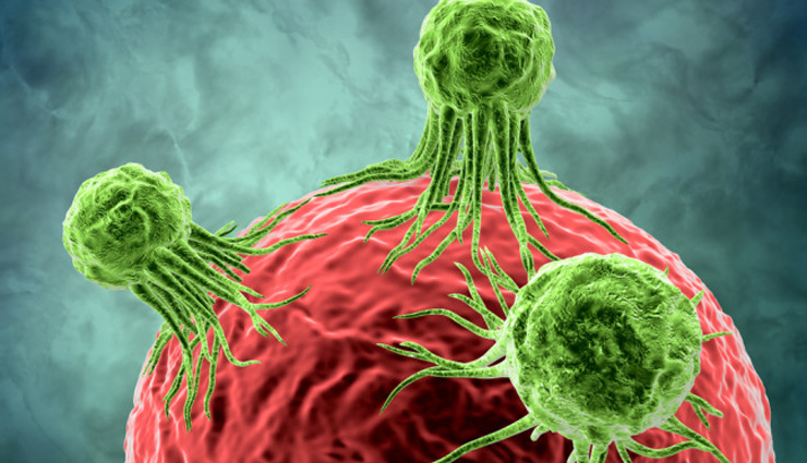 10 Cancer-Fighting Foods You Can Eat Regularly