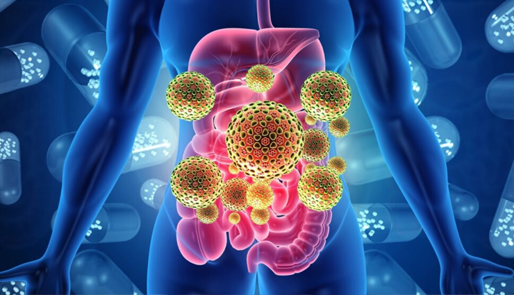 papaya,papaya health updates,health benefits of papaya,papaya for good health,healthy food papaya,Health,Health tips