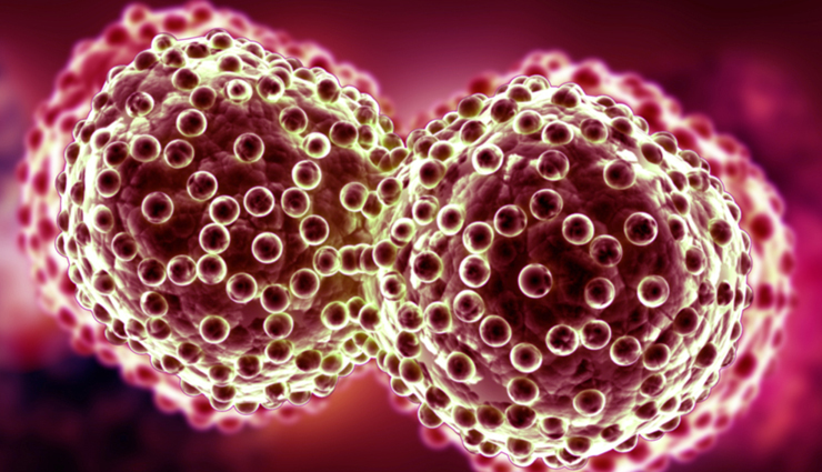 Oats,oats benefits,oats health benefits,benefits of eating oats,oats for health,Health,Health tips