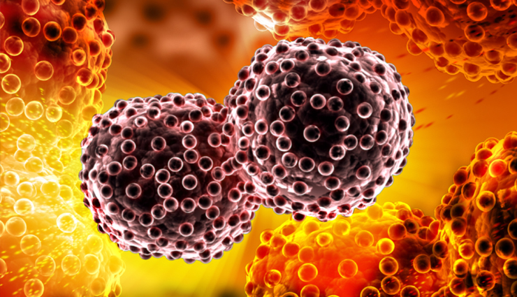 kalonji seeds,health benefits of kalonji seeds,healthy food kalonji seeds,kalonji seeds for heart,kalonji seeds for brain,kalonji seeds for good health,Health,Health tips