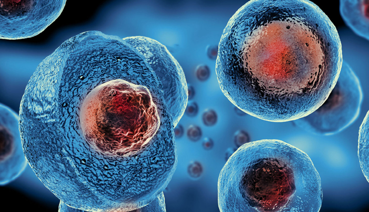 importance of ashwagandha,ashwagandha benefits,indian ginseng significance,uses of ashwagandha herb,ashwagandha in ayurveda,ashwagandha health benefits,adaptogenic herb ashwagandha,ashwagandha for stress relief,ashwagandha and immunity,ashwagandha for overall health