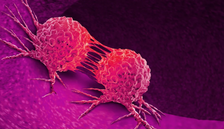 dark chocolate,dark chocolate benefits,health benefits of dark chocolate,Health,Health tips