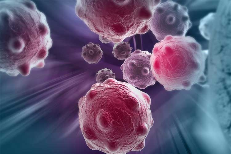 world cancer day 2019,cancer,symptoms of cancer,causes of cancer,Health,Health tips