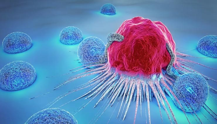 ये घरेलू उपचार नहीं है कैंसर में प्रभावी, आज से ही करें इन्हें बंद