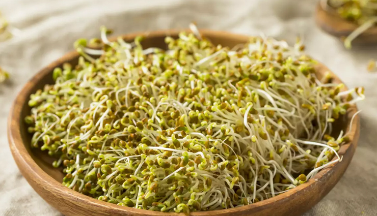 cancer prevention herbs,anti-cancer herbs,herbal remedies for cancer prevention,natural cancer fighters,cancer-fighting herbs,herbs that reduce cancer risk,herbal supplements for cancer prevention,alternative cancer prevention,herbs for cancer prevention and treatment,cancer prevention through herbs,best herbs for cancer prevention,antioxidant herbs for cancer prevention,herbal medicine for cancer prevention,herbs to prevent cancer