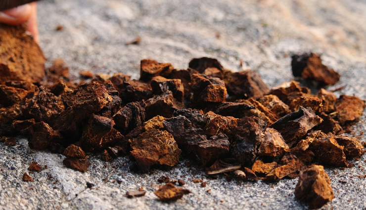 cancer prevention herbs,anti-cancer herbs,herbal remedies for cancer prevention,natural cancer fighters,cancer-fighting herbs,herbs that reduce cancer risk,herbal supplements for cancer prevention,alternative cancer prevention,herbs for cancer prevention and treatment,cancer prevention through herbs,best herbs for cancer prevention,antioxidant herbs for cancer prevention,herbal medicine for cancer prevention,herbs to prevent cancer