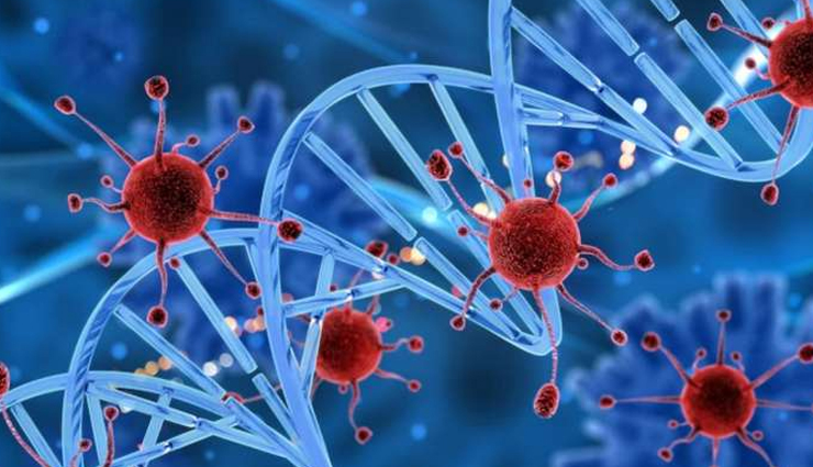 oolong tea weight loss,benefits of oolong tea for weight loss,oolong tea for fat loss,weight loss with oolong tea,oolong tea and metabolism,how to use oolong tea for weight loss,oolong tea diet plan,oolong tea and stress relief,oolong tea and heart health,immunity boost with oolong tea