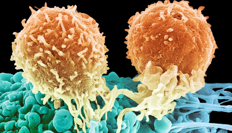 health benefits of carrots,eating carrots for health,carrots nutritional benefits,benefits of consuming carrots,vitamins in carrots,minerals in carrots,antioxidants in carrots,dietary fiber in carrots,vision benefits of carrots,carrots for skin health,carrots and digestive health,carrots for heart health,carrots and immune system,carrots and weight management,carrots as a superfood,carrots for healthy hair,carrots in balanced diet,carrots and overall well-being,carrot recipes,cooking with carrots,raw carrot snacks,carrot juice benefits,roasted carrot dishes,carrots vs. other vegetables,benefits of carrots over processed snacks,natural healing with carrots,carrots vs. supplements