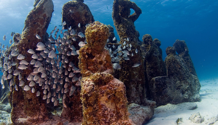 weird museums,weird museums around the world,weird museums to visit,museums,travel,holidays,travel guide,travel tips