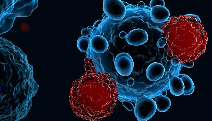 heart disease,heart disease symptoms,cancer,cancer symptoms,disease in old age,old age health problems,old age,old age health care,health care tips,health care,health tips in hindi