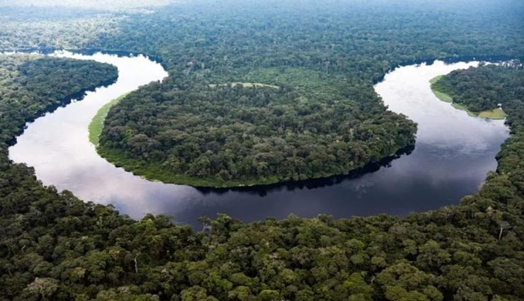 दुनिया के इस जंगल के कई हिस्सों में इंसानों का पहुंच पाना नामुमकिन