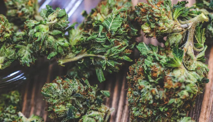 natural herbs for weight gain,herbs to gain healthy weight,herbal remedies for weight gain,natural herbs to increase body weight,herbs for healthy weight gain,herbal supplements for weight gain,herbal supplements to gain weight,weight gain herbs and supplements,herbal products for healthy weight gain,best herbs for natural weight gain,ayurvedic herbs for weight increase,ayurvedic herbs for weight gain,ayurvedic remedies to gain healthy weight,herbal solutions in ayurveda for weight increase,weight gain herbs in traditional medicine,herbs for muscle mass and weight gain,herbs to build muscle mass and gain weight,muscle gain herbs and supplements,herbal remedies for healthy muscle growth and weight gain,natural herbs to increase muscle mass and weight,weight gain herbs for underweight individuals,herbs for underweight individuals,natural remedies for healthy weight gain in thin individuals,herbs to increase body mass in underweight people,herbal solutions for gaining weight for skinny individuals