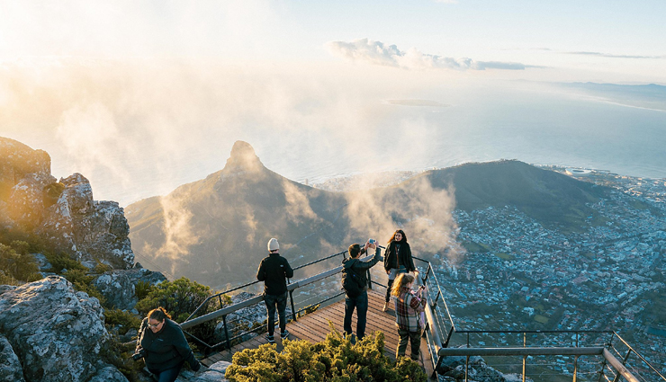 capes wines at a vineyard estate,capes marine and wildlife,cape town,things to do in cape town