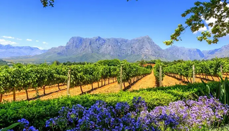 south africa destinations,popular places in south africa,must-visit destinations in south africa,top tourist spots in south africa,south africa travel guide,best places to visit in south africa,south africa tourism,famous landmarks in south africa,south africa sightseeing,top attractions in south africa