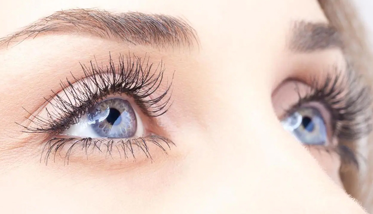 capsicum,health benefits of capsicum,Health tips,fitness tips