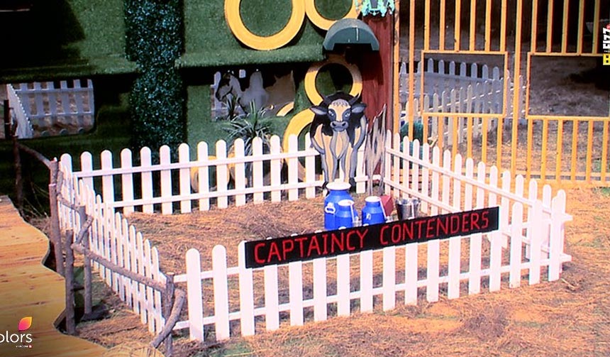 bigg boss 11,Salman Khan,luxury budget task,bb poultry,arshi khan,priyank,bigg boss,tv show,reality tv show