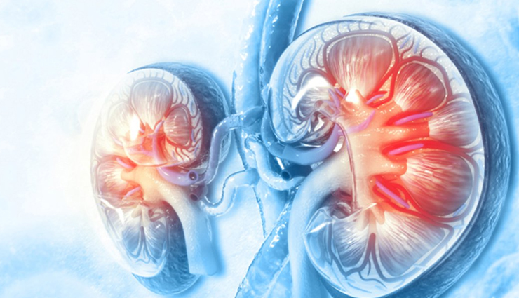 health benefits of cardamom,Health tips,fitness tips