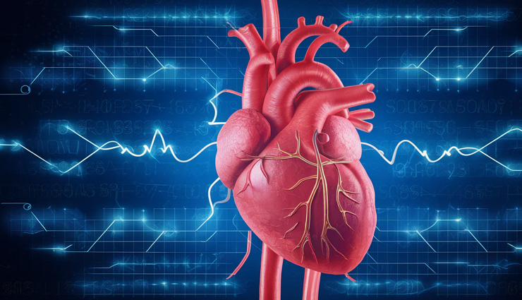 health benefits of gin,drinking gin in moderation,gin health benefits,moderate alcohol consumption benefits,antioxidants in gin,low calorie gin drink,digestive benefits of gin,gin anti-inflammatory properties,cardiovascular benefits of gin,gin juniper berries health,gin benefits for bloating,moderate gin consumption