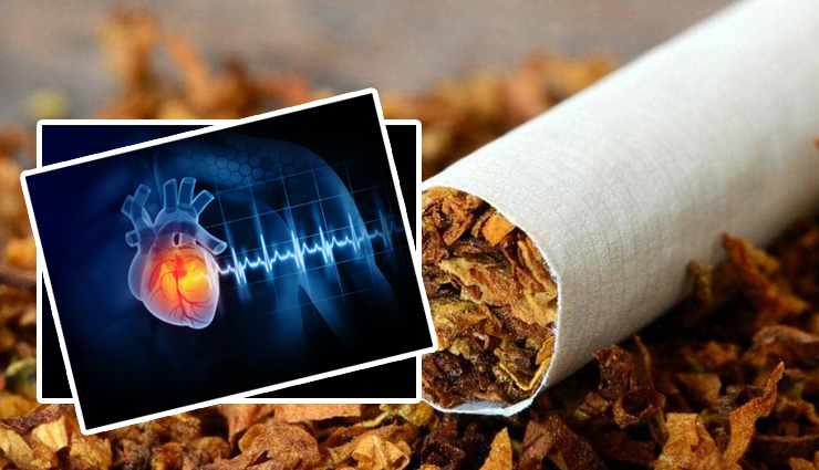 Tobacco and Cardiovascular Diseases: Understanding the Deadly Connection