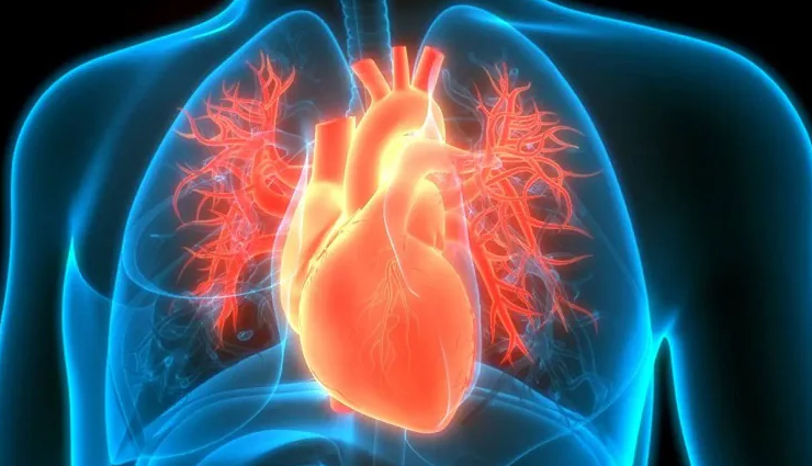 nmn supplementation,health benefits of nmn,well-being and nmn supplementation,reversing aging with nmn,nmn and overall health,nmn for well-being,anti-aging benefits of nmn,nmn and longevity,boosting health with nmn supplementation,enhancing well-being with nmn