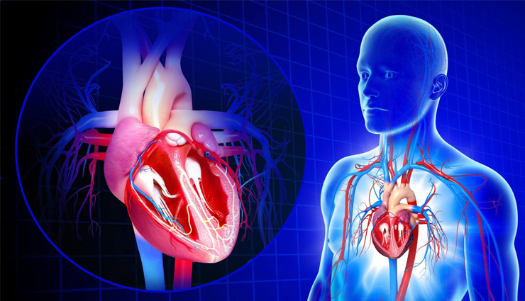 health benefits of skipping,skipping exercise,rope jumping benefits,skipping weight loss,skipping cardiovascular health,skipping coordination,skipping endurance,skipping mood boost,skipping lung capacity,skipping bone health