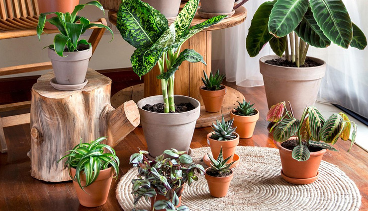 low budget,home decor,household tips,house decoration tips