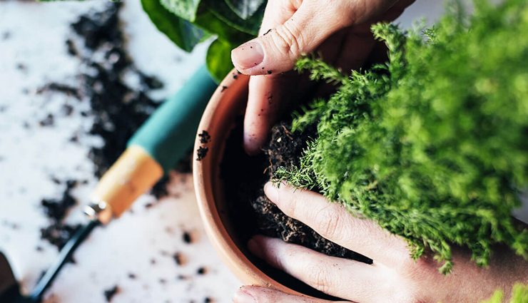 tips to get your life back on track,how to regain control of your life,steps to rebuild your life,recovery and self-improvement tips,guidance for getting your life together,overcoming challenges and moving forward,personal growth and transformation tips,self-care strategies for a fresh start,empowerment and resilience techniques,finding balance and stability in life,motivational tips for reclaiming your life,positive habits for life recovery,mindfulness and stress management for renewal,building confidence and self-esteem,inspiring change and progress