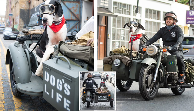आम कुत्तों से अलग है डीगो, मोटरसाइकिल की सवारी करना है पसंद, लेता हैं पिज्ज़ा के चटकारे!