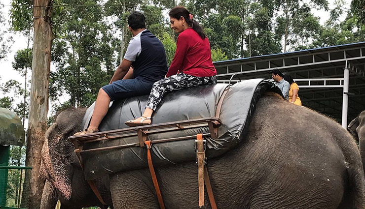 tea estate tours in munnar: savor the finest teas,waterfall hikes: attukal and lakkam in munnar,eravikulam national park: spotting nilgiri tahr,munnars spice gardens: a fragrant exploration,shikara boat rides in munnars lakes,trekking adventures: anamudi peak and chokramudi hills,elephant safari: munnars unique wildlife experience,ayurvedic spa retreats in munnar: relax and rejuvenate,photography spots: munnars scenic beauty unleashed,culinary delights: exploring munnars local cuisine