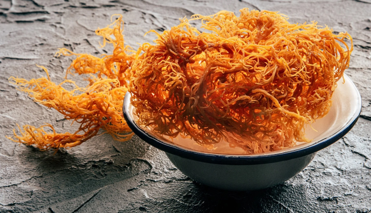 carrageenan health benefits,natural carrageenan,red seaweed benefits,carrageenan for digestion,carrageenan for immune support,antiviral properties of carrageenan,carrageenan for cholesterol,plant-based gelatin alternative,carrageenan antioxidant benefits,carrageenan wound healing,carrageenan in food products,health benefits of irish moss,carrageenan for wellness,food-grade carrageenan safety,carrageenan digestive health