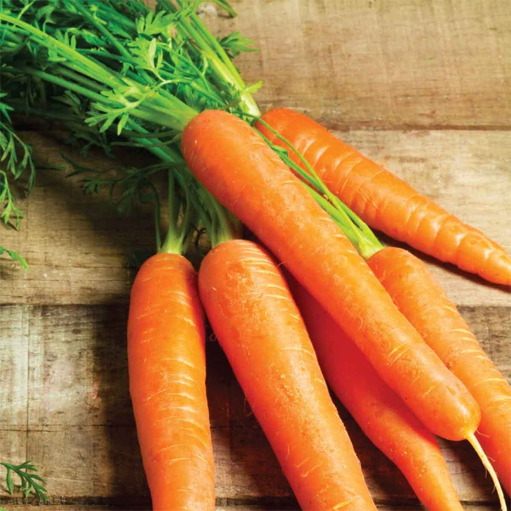 skin care,skin care tips,carrot for skin care,carrot masks for skin,treat dry skin,remove tan,get a glowing skin,remove blemishes,treat oily skin,beauty tips,simple beauty tips,face masks for beautifull skin