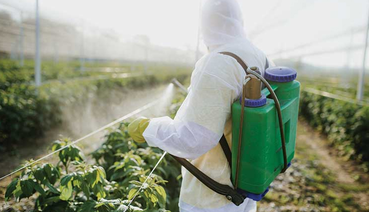 carrots,health benefits of eating carrots,Health tips,fitness tips