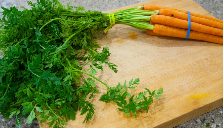 गाजर के पत्ते बनेंगे कई बीमारियों में संजीवनी, जानें किस तरह पहुचाएंगे सेहत को फायदा
