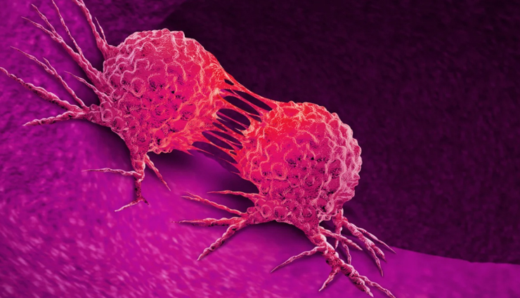 health benefits of carrots,carrots,Health tips,fitness tips