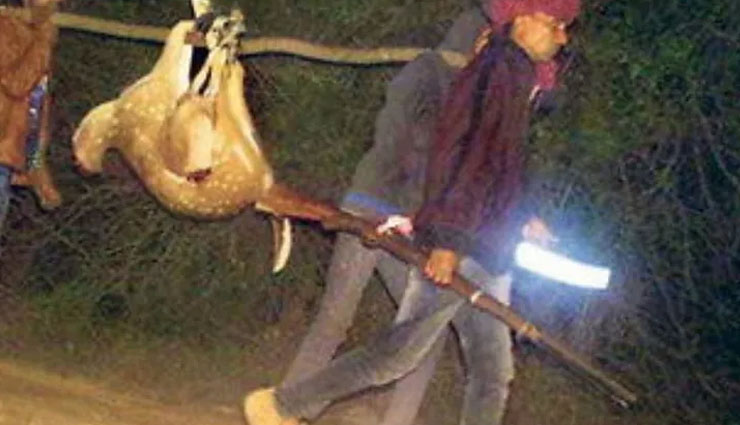 VIDEO- Poachers carry Ranthambore chital deer, picture goes viral