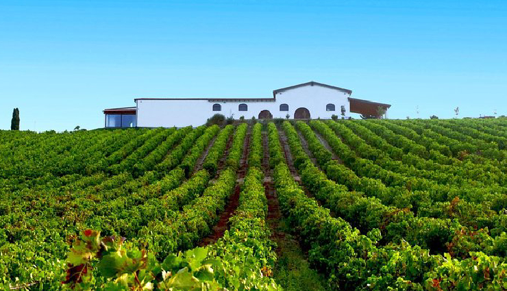 tourist attractions chile,must-visit places chile,chile travel destinations,top tourist spots chile,chile sightseeing locations,best places to visit chile,chile vacation destinations,chilean landmarks,chile travel guide,chile bucket list attractions