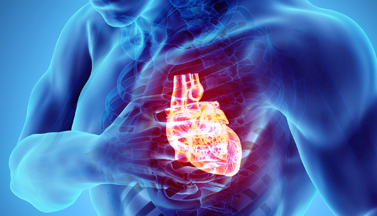 health benefits of drinking cashew milk,cashew milk,Health tips,fitness tips