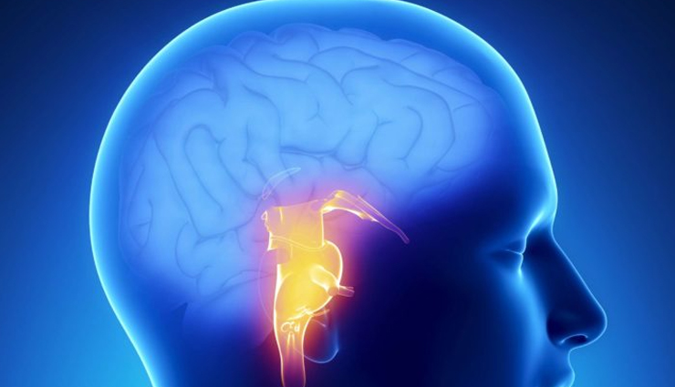 health benefits of drinking cashew milk,cashew milk,Health tips,fitness tips