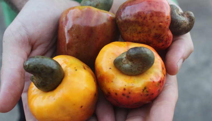 cashew nuts,side effects of cashew nuts,harmful effects of cashew nuts,Health tips,fitness tips