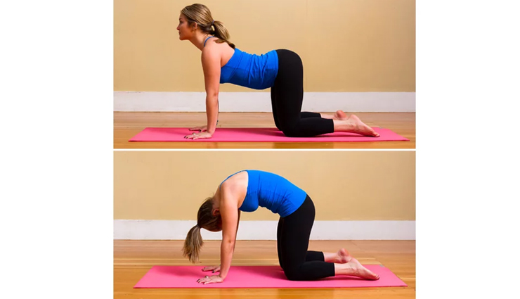 exercises to strengthen your lower back,lower back exercises,lower back pain,back pain remedies,Health tips,healthy living